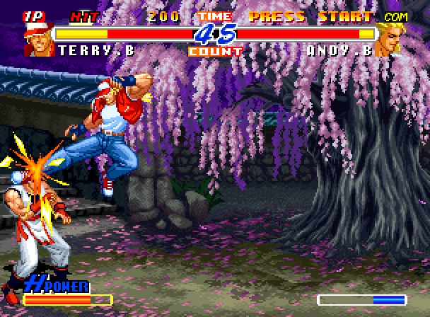 Real Bout Fatal Fury Special (Arcade) - Terry Bogard Playthrough