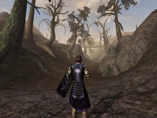 The Elder Scrolls III: Morrowind  in-game screen image #6 
