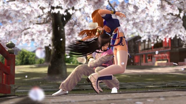 Dead or Alive 4  in-game screen image #11 