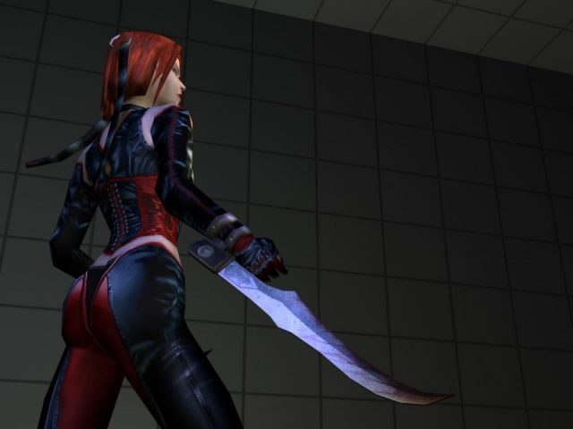 Bloodrayne не запускается на windows 10