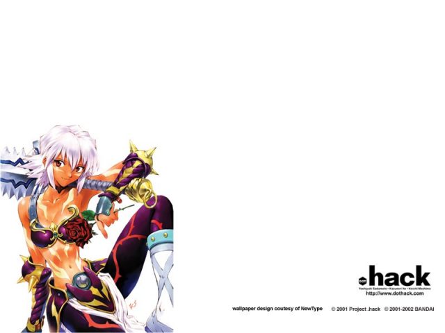 .hack//Infection Part 1  game art image #1 