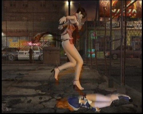 Dead or Alive Ultimate  in-game screen image #14 