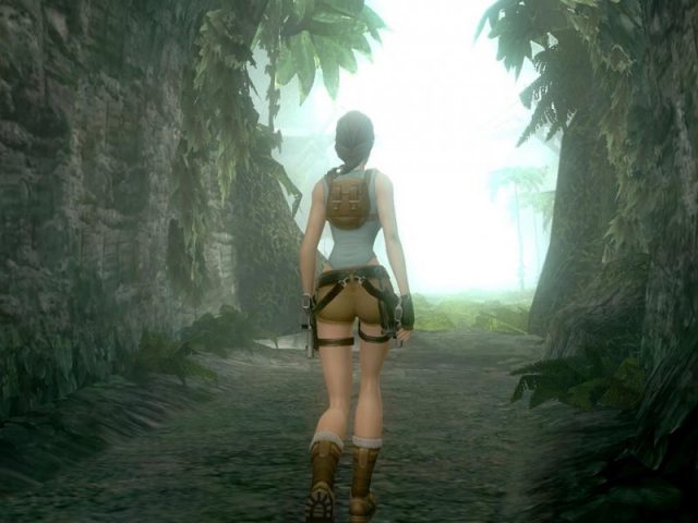 Tomb Raider: Anniversary  game art image #1 