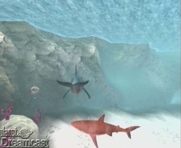 Ecco the Dolphin  in-game screen image #2 