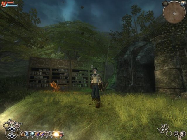 Fable: The Lost Chapter in-game screen image #4 It's really green