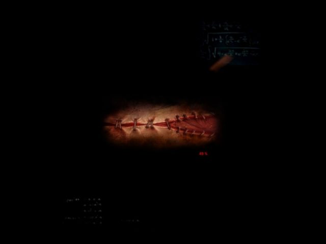Requiem Online  in-game screen image #2 Load screen. The stitches open up with the load progress.