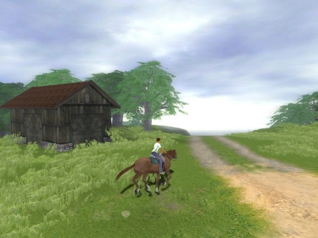 Riding Star 3 in-game screen image #1 