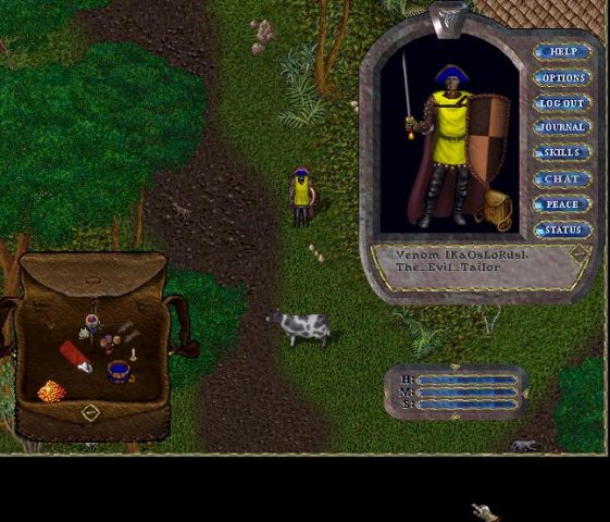 Ultima Online  in-game screen image #1 