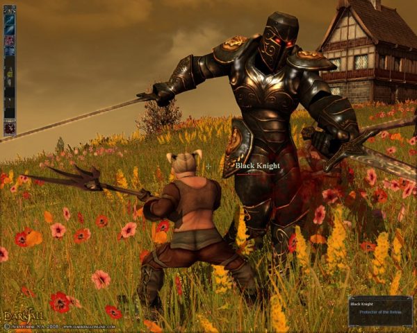 Darkfall  in-game screen image #1 