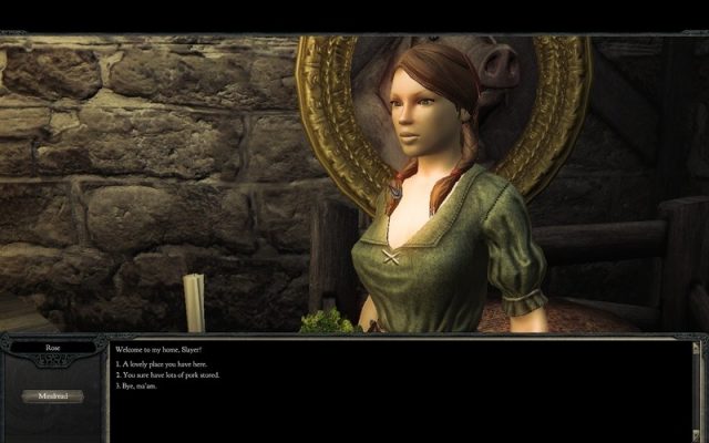 Divinity II: Ego Draconis  in-game screen image #1 Dialog