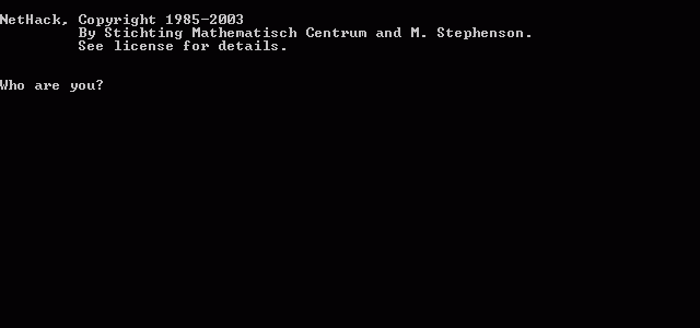 NetHack title screen image #2 TTY mode