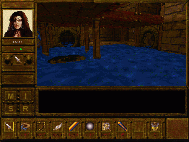 Descent To Undermountain  in-game screen image #1 