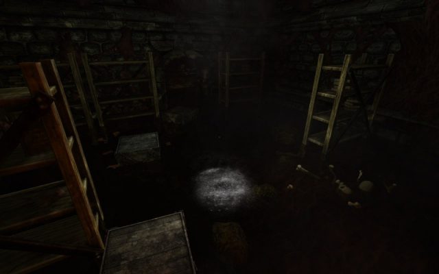 Amnesia: The Dark Descent  in-game screen image #1 