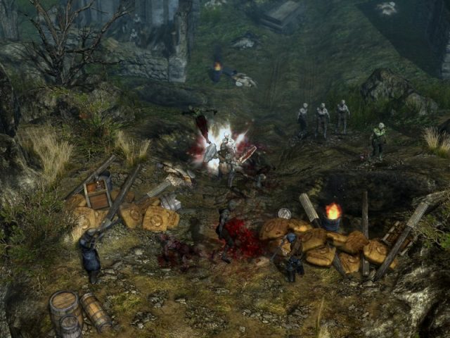 Grim Dawn in-game screen image #1 