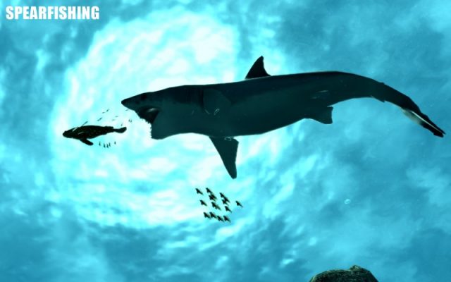 Spearfishing in-game screen image #1 