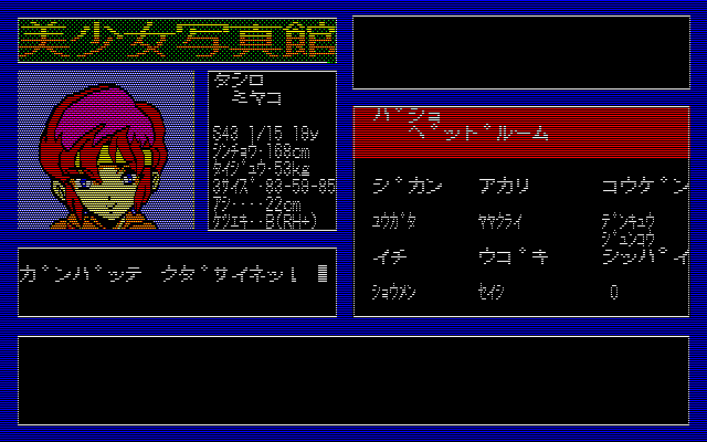 Bishoujo Shashinkan I: Studio Cut  in-game screen image #2 