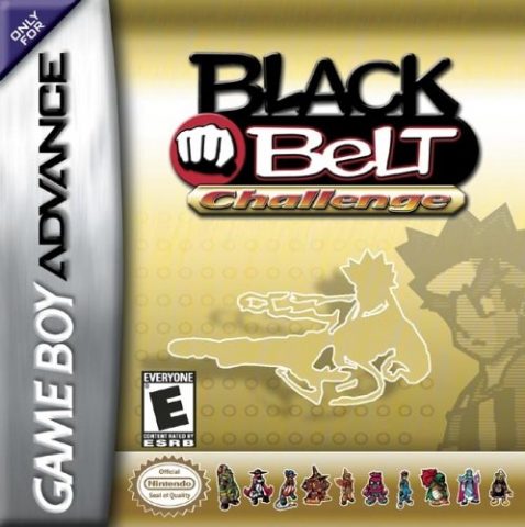 Black Belt Challenge package image #1 