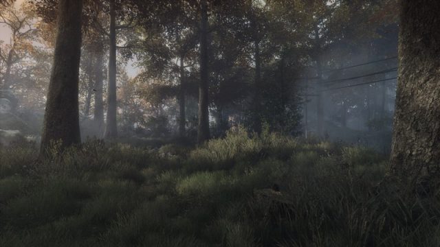 The Vanishing of Ethan Carter  in-game screen image #2 
