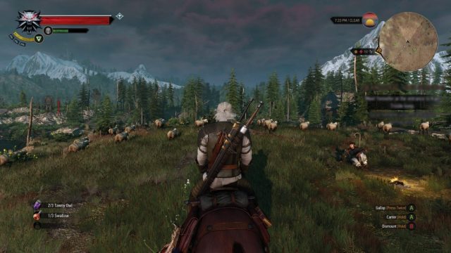 The Witcher III: Wild Hunt  in-game screen image #1 