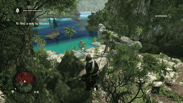 Assassin's Creed IV: Black Flag  in-game screen image #1 