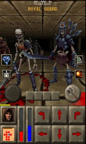 Deadly Dungeons in-game screen image #2 