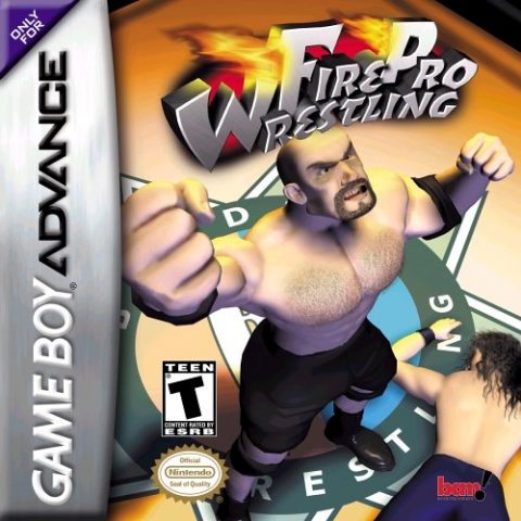 Fire Pro Wrestling  package image #2 