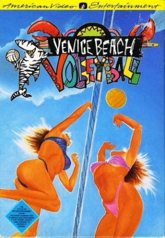 Venice Beach Volleyball package image #1 