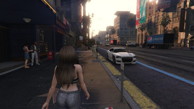 Grand Theft Auto V  in-game screen image #1 