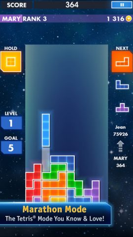 Tetris in-game screen image #1 
