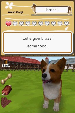 Animal Paradise in-game screen image #1 