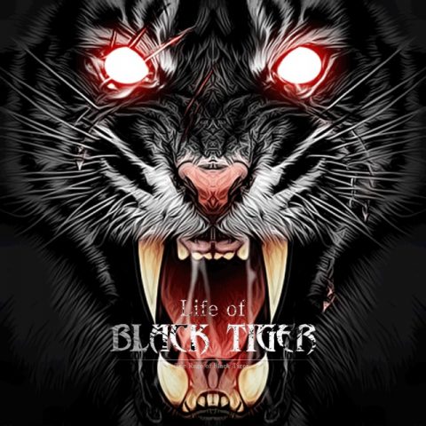 Life of Black Tiger package image #1 