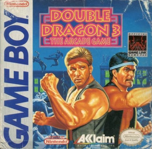 Double Dragon 3  package image #1 