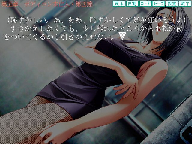~Miboujin~ Niku Dorei  in-game screen image #1 