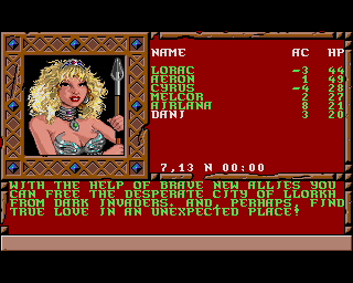 Treasures of the Savage Frontier in-game screen image #1 