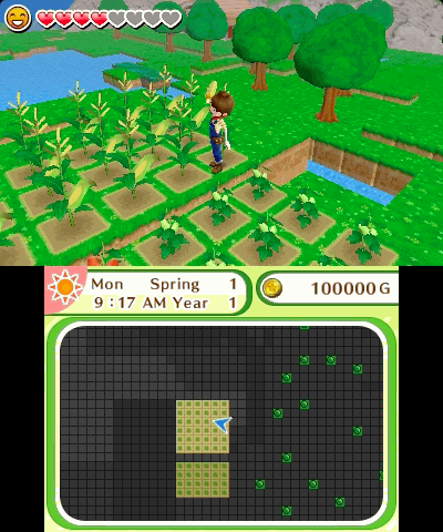 Harvest Moon: Skytree Village in-game screen image #2 